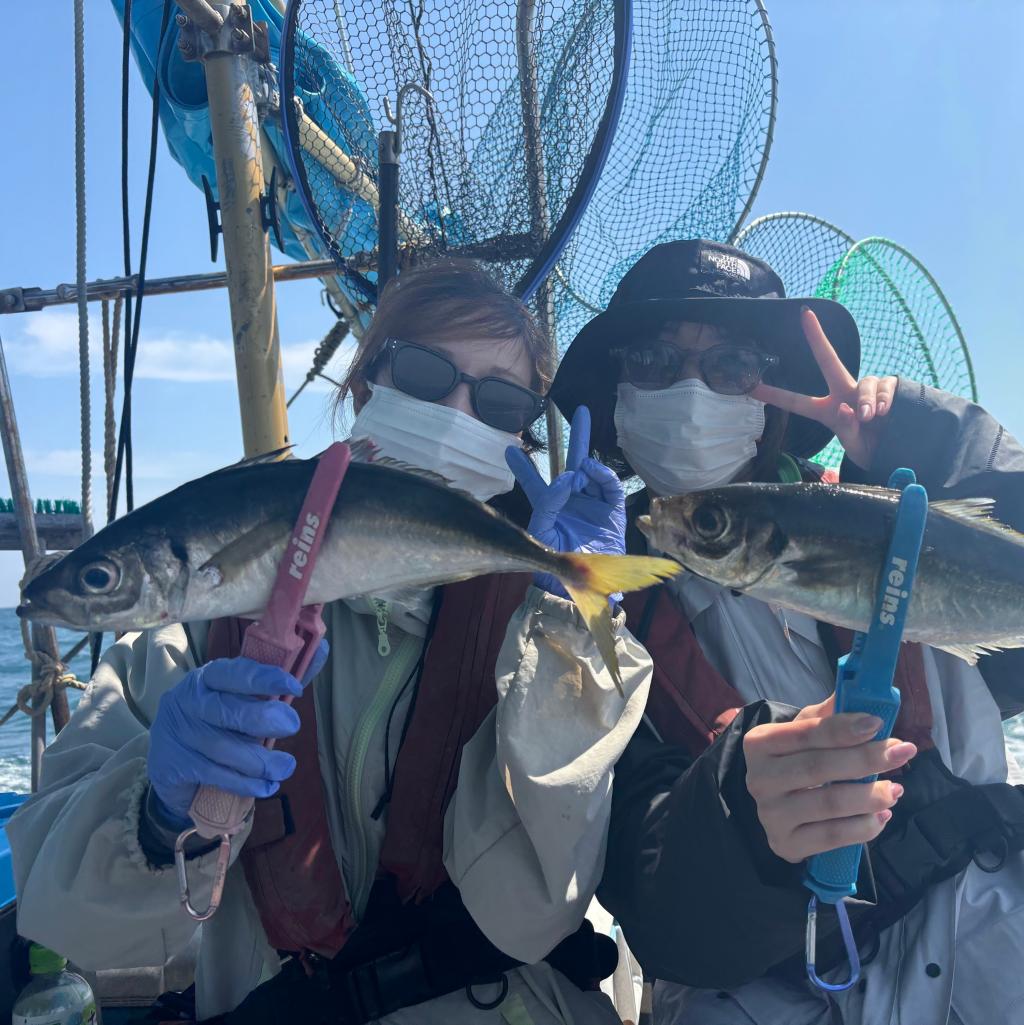 魚礁、アジ、泳がせ釣り