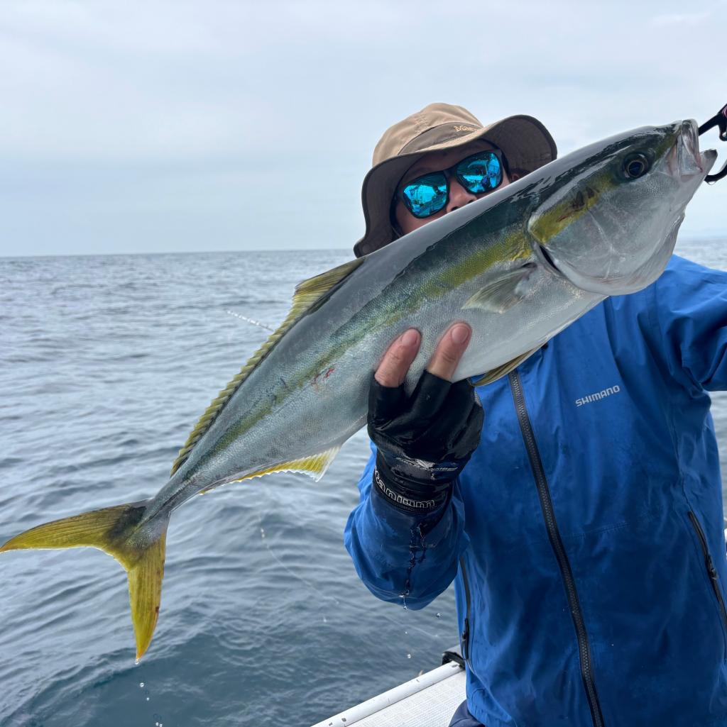 魚礁、アジ、泳がせ釣り