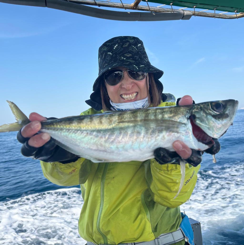 魚礁、アジ、泳がせ釣り