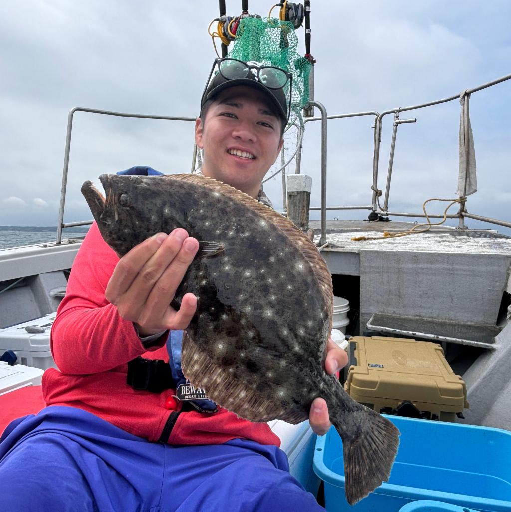 6/6アジ釣り、泳がせ